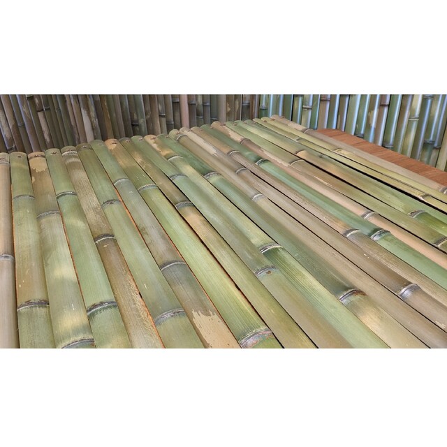 竹】【DIY】竹すのこ 竹すだれ 竹垣 目隠し 古民家DIY 建仁寺晒竹 真竹