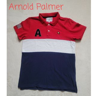 アーノルドパーマー(Arnold Palmer)のArnold Palmer　ゴルフ　ポロシャツ　レディース(ウエア)