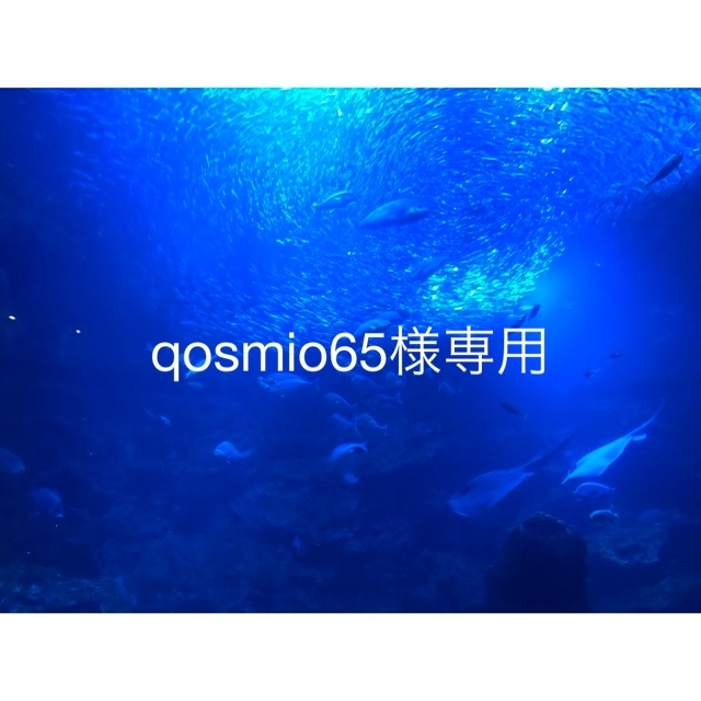 qosmio65様専用ページ 激安通販新作 www.fenix-seguridad.com