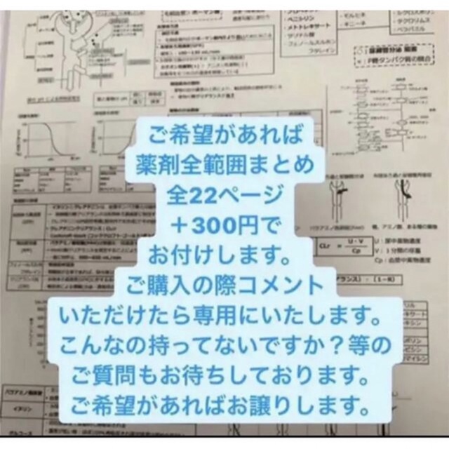 薬剤師国家試験 青本 まとめノート ヤマ 9科目分 エンタメ/ホビーの本(資格/検定)の商品写真