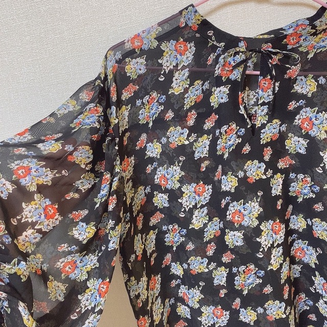 RETRO GIRL(レトロガール)の花柄シアーシャツ レディースのトップス(シャツ/ブラウス(長袖/七分))の商品写真