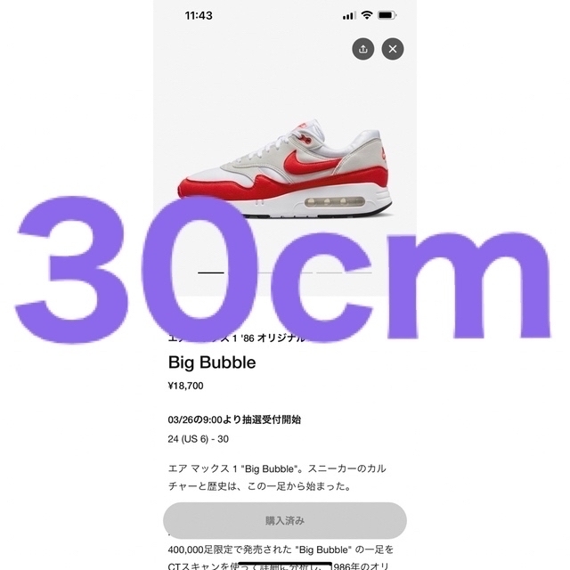 Nike Air Max 1 ’86 OG "Big Bubble Red"