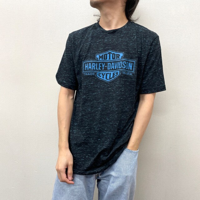 Hurley(ハーレー)の【中古】 ハーレー ダビッドソン HARLEY-DAVIDSON Tシャツ 半袖 ショートスリーブ 薄手 ロゴ 両面プリント サイズ：L ブラック系 ミックスカラー 古着 中古 mellow BIKER BUILT ゆうパケット対応 メンズのトップス(Tシャツ/カットソー(半袖/袖なし))の商品写真