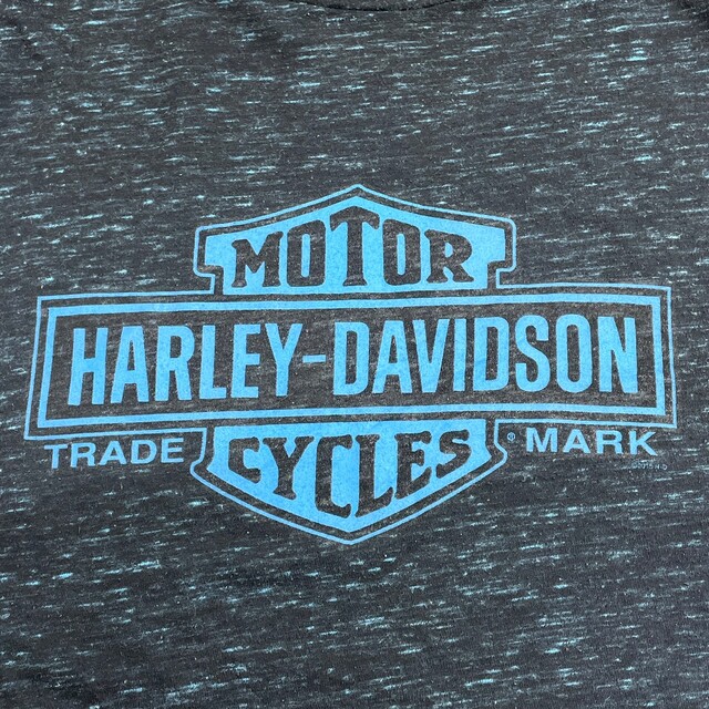 Hurley(ハーレー)の【中古】 ハーレー ダビッドソン HARLEY-DAVIDSON Tシャツ 半袖 ショートスリーブ 薄手 ロゴ 両面プリント サイズ：L ブラック系 ミックスカラー 古着 中古 mellow BIKER BUILT ゆうパケット対応 メンズのトップス(Tシャツ/カットソー(半袖/袖なし))の商品写真