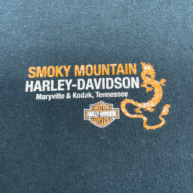 ギルダン GILDAN ハーレー ダビッドソン HARLEY-DAVIDSON Tシャツ 半袖 ショートスリーブ ロゴ プリント サイズ：XL ブラック   mellow ゆうパケット対応