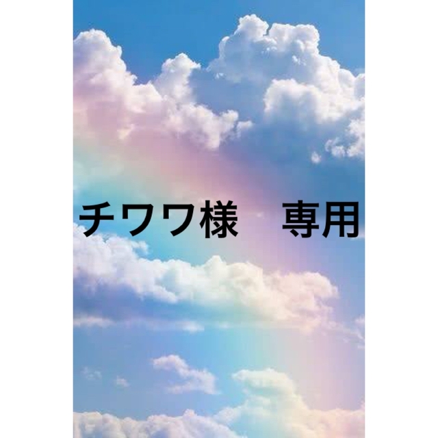 大きな取引 サンテアージュOX-288【ゼウス】2箱 ニナファーム OX-288