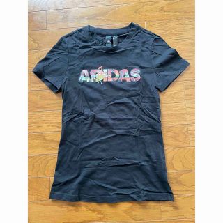 アディダス(adidas)の【アディダスadidas】レディースTシャツ　 Mサイズ(Tシャツ(半袖/袖なし))