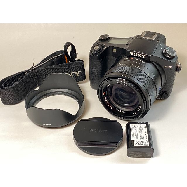 ☆SONY RX10 実用 - www.sorbillomenu.com