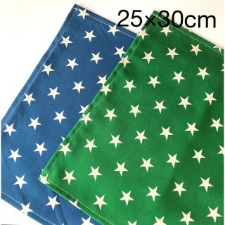 保育園幼稚園ランチョンマット25×30 星(外出用品)