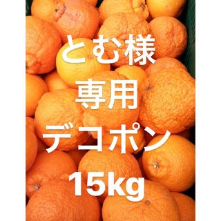 愛媛県　デコポン　柑橘　15kg(フルーツ)