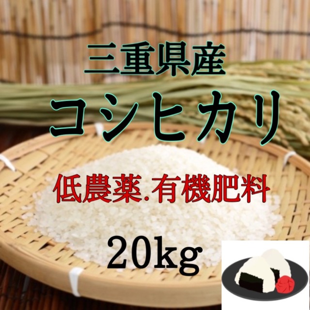 三重県産コシヒカリ20kg 精米出来ますコシヒカリ - 米/穀物