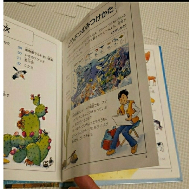 ポケット版♡1001のどうぶつをさがせ！ エンタメ/ホビーの本(絵本/児童書)の商品写真