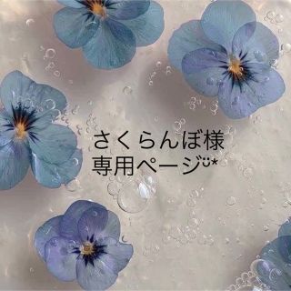 さくらんぼ様専用ページᵕ̈*の通販 by handmade·͜· ♡閉店予定|ラクマ