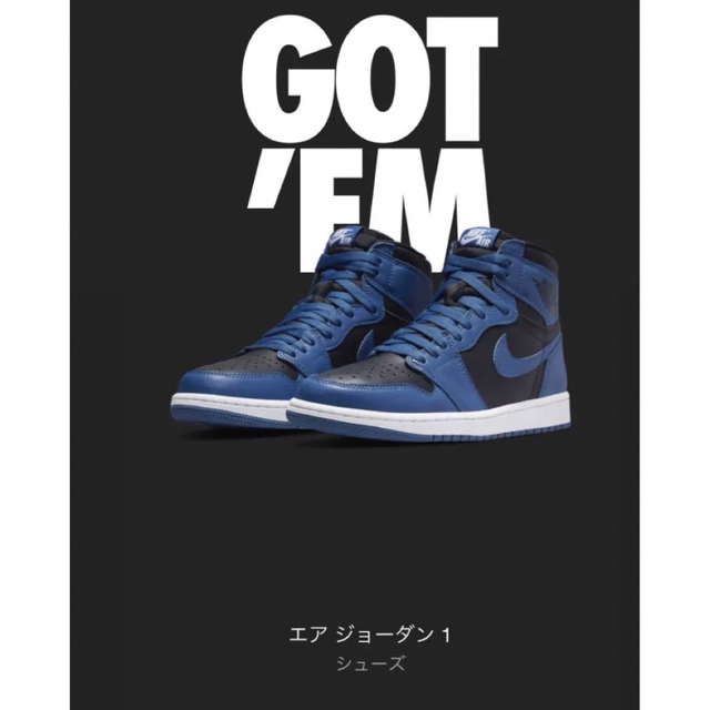 NIKE Air Jordan 1 High OG ダークマリーナブルー27