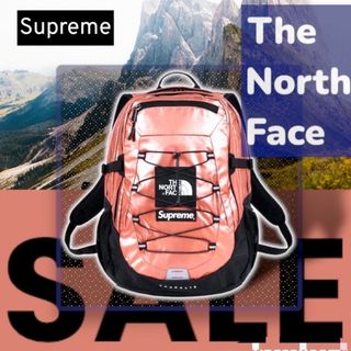 ザノースフェイス(THE NORTH FACE)のSupreme×TNFノースフェイス バックパック ローズゴールド(バッグパック/リュック)