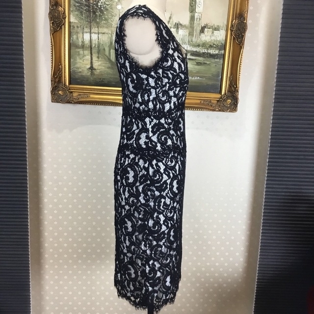 新品☆ TADASHI SHOJI サイズ　6P (T45)