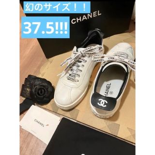 シャネル(CHANEL)のCHANEL ロゴスニーカー　 幻のサイズ37.5！！！　シャネル(スニーカー)