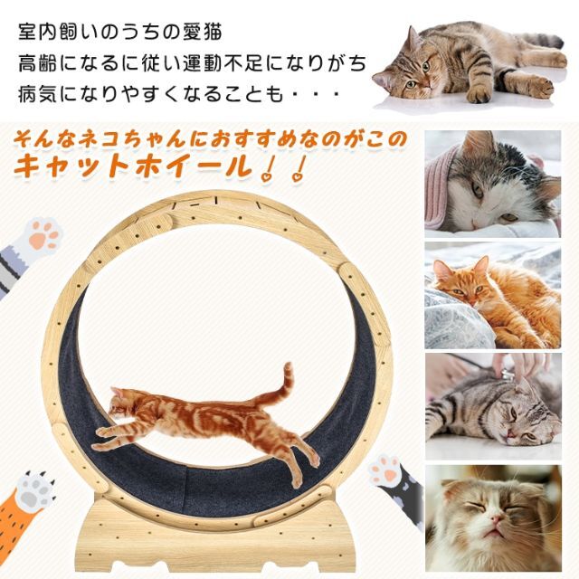 猫 トレッドミル キャット ホイール pt071 その他のペット用品(猫)の商品写真