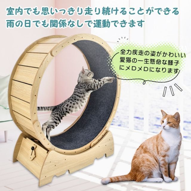 猫 トレッドミル キャット ホイール pt071 その他のペット用品(猫)の商品写真