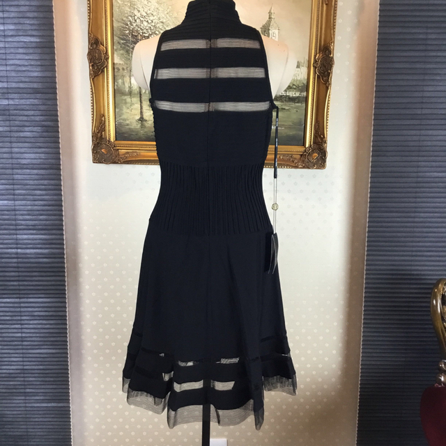 オールノット 新品タグ付け☆ TADASHI SHOJI サイズS 【T84 | ochge.org