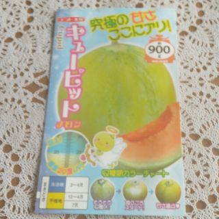 野菜タネ　メロン種　キューピット　種子12粒(野菜)