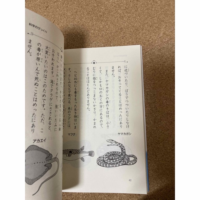 なぜ?どうして?科学のお話 3年生 エンタメ/ホビーの本(絵本/児童書)の商品写真