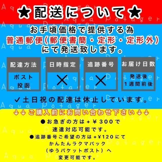 ブラジリアンワックス ノーズワックス 鼻毛 脱毛 ノーズスティック 10本 コスメ/美容のボディケア(脱毛/除毛剤)の商品写真