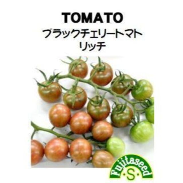 ＜野菜の種＞ブラックチェリートマト　リッチ　２０粒　ブラウントマト　たね ハンドメイドのフラワー/ガーデン(プランター)の商品写真