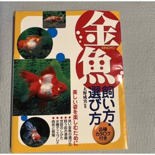 金魚の飼い方・遊び方(趣味/スポーツ/実用)