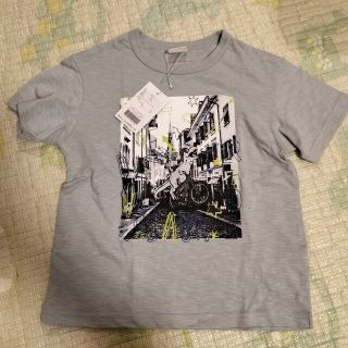 ブリーズ(BREEZE)のBREEZE　恐竜Tシャツ　130 新品(Tシャツ/カットソー)