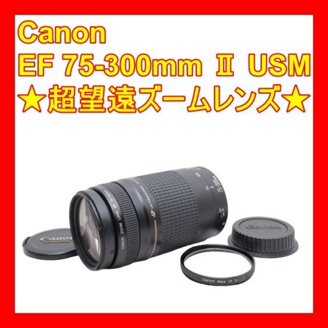 ❤完動品❤超望遠ズームレンズ❤Canon EF 75-300mm Ⅱ USM❤