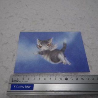 新品　ポストカード　エンジェルダヤン　天使　ベイビー　わちふぃーるど　ダヤン　猫(その他)