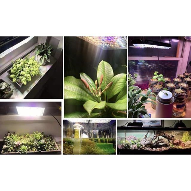 人気 大好評❣天候や昼夜に左右されずに植物の育成成長を促進 植物育成