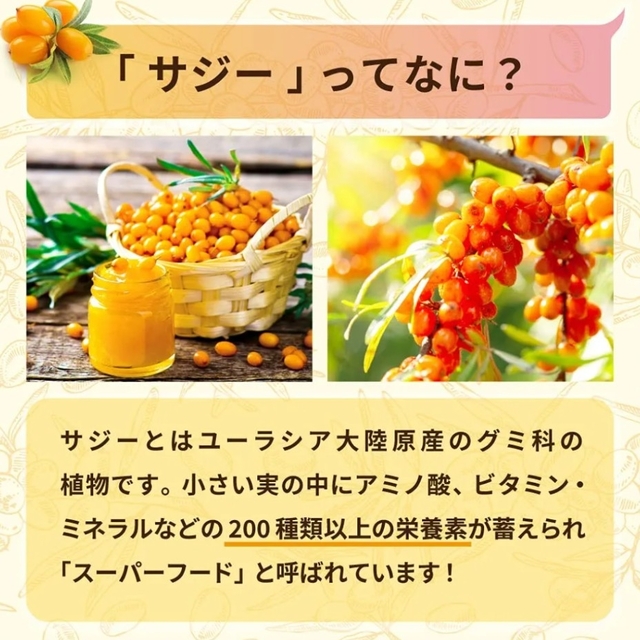 サジー プラセンタジュレ 30包入り コスメ/美容のダイエット(ダイエット食品)の商品写真