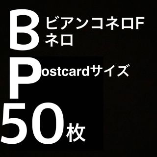 ビアンコネロFポストカードサイズ50枚セット(スケッチブック/用紙)