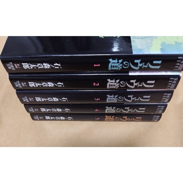 リュウの道 第1巻~5巻 全5巻完結 石ノ森章太郎 竹書房文庫