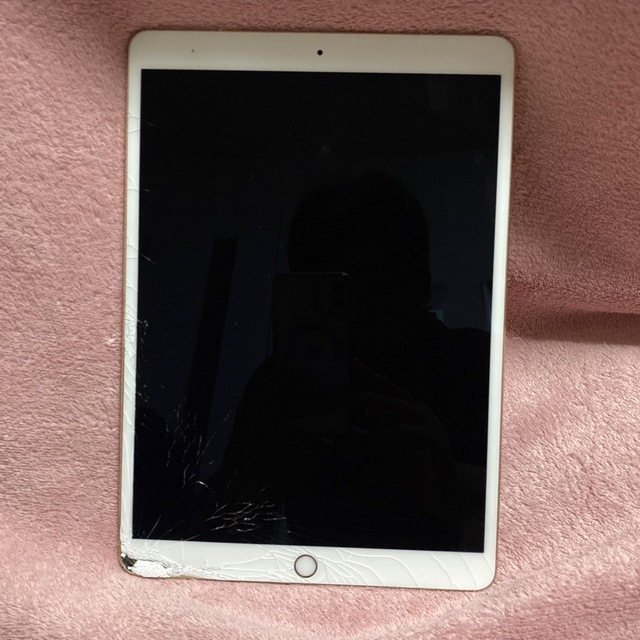 アップル iPad Pro 10.5 インチ 256GB ゴールド ジャンク オンライン