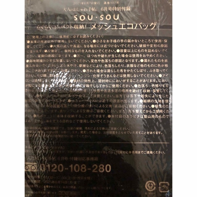 SOU・SOU(ソウソウ)の大人のおしゃれ手帖 2021年6月号付録 SOU•SOU メッシュ・エコバック エンタメ/ホビーの雑誌(ファッション)の商品写真