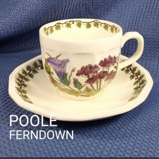 ウェッジウッド(WEDGWOOD)の英国製ヴィンテージ POOLE カップ&ソーサー (少々難あり)プランターにも(食器)