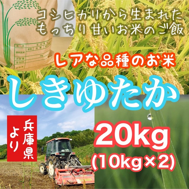 【レア品種 シキユタカ】兵庫県産 湧き水育ち農家のお米 20kg(10kg×2)