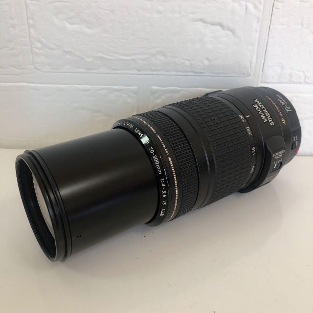 canon 70-300mm IS USM ズーム レンズ 1