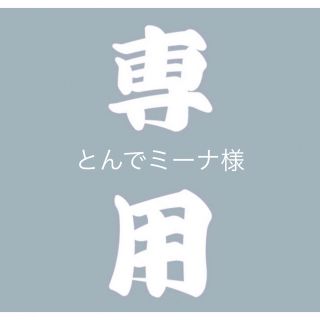 とんでミーナ様専用ページ！(iPhoneケース)