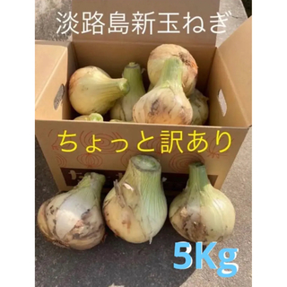 ★ちょっと訳あり5Kg★淡路島新玉ねぎ　たまねぎ　玉葱(野菜)