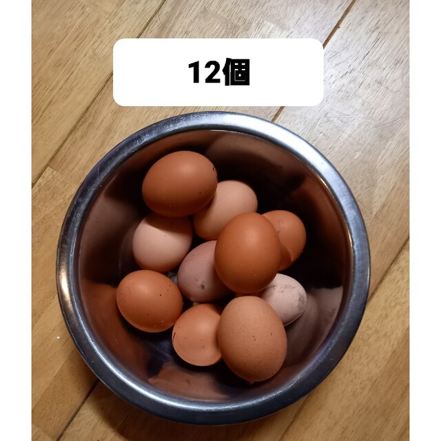 平飼い卵12個(割れ保証無し) 食品/飲料/酒の食品(その他)の商品写真