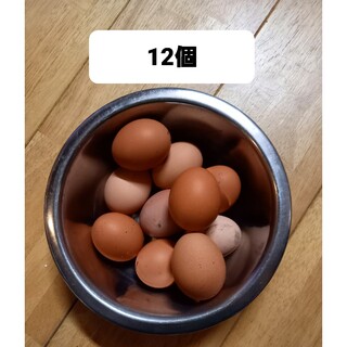 平飼い卵12個(割れ保証無し)(その他)