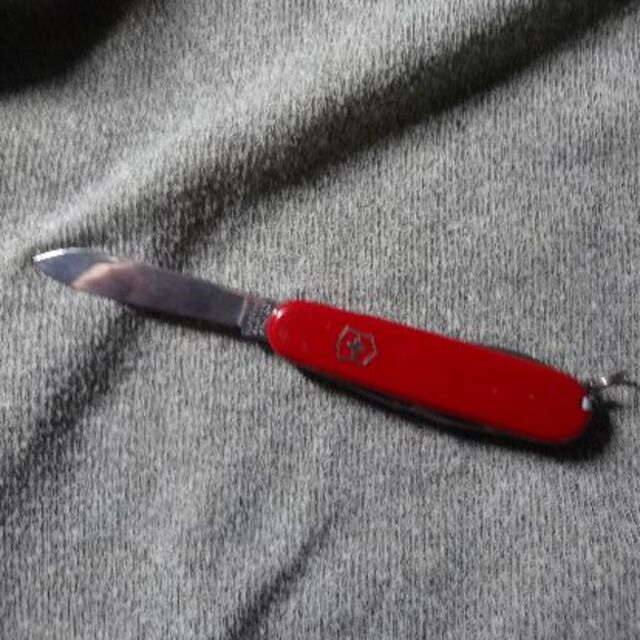 VICTORINOX(ビクトリノックス)の携帯用　マルチツール スポーツ/アウトドアのアウトドア(調理器具)の商品写真