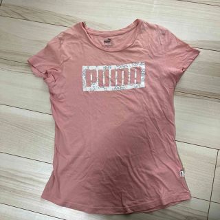 プーマ(PUMA)のPUMA Tシャツ　(ウェア)