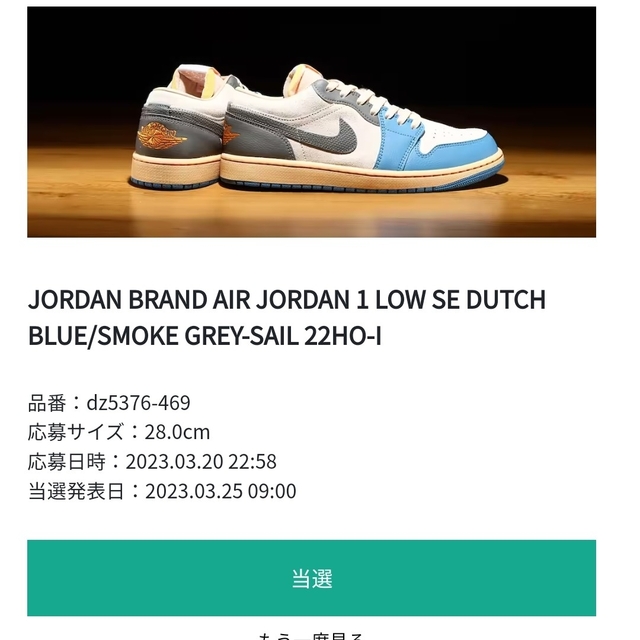 Nike Air Jordan 1 Low  28.0cm