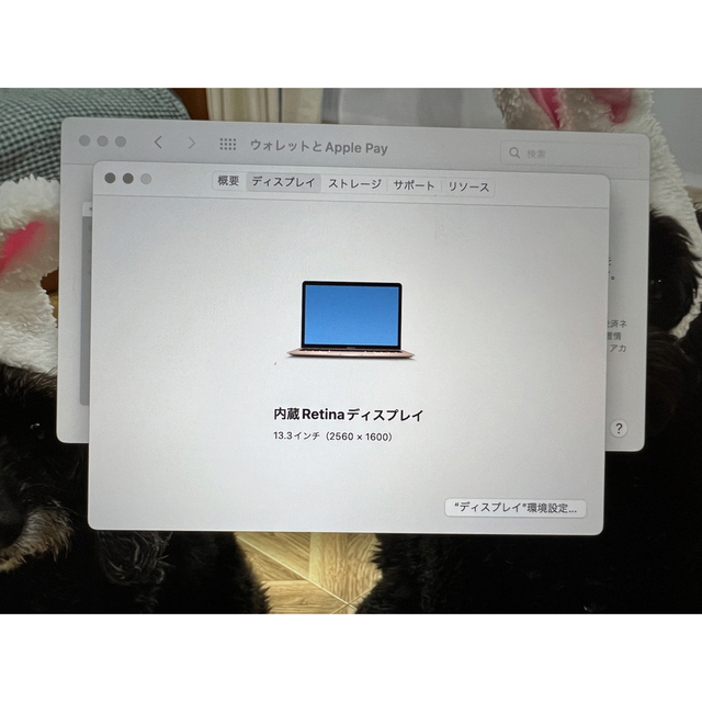 激安 Apple - m1ゴールド258GB Air 【0331ミニマリスト⭐︎】MacBook