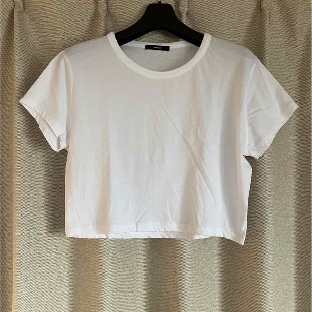 EMODA(エモダ)のEMODA  ショート丈Tシャツ レディースのトップス(Tシャツ(半袖/袖なし))の商品写真